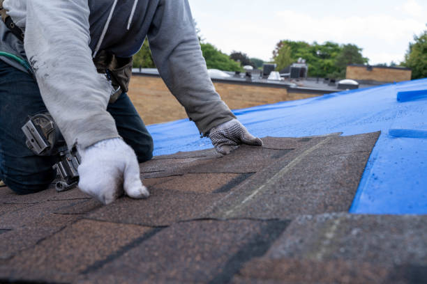 Best Metal Roofing Contractor  in Birch Bay, WA