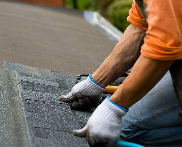 Best Roof Leak Repair  in Birch Bay, WA