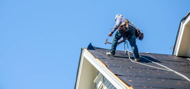 Best Storm Damage Roof Repair  in Birch Bay, WA